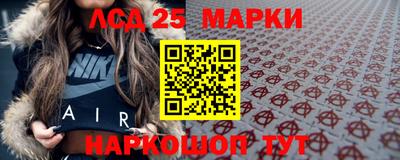 прущие крисы Камышлов