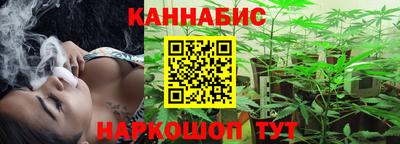 прущие крисы Камышлов